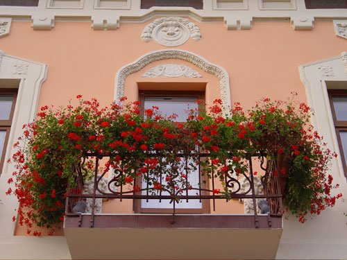 Hotel Dana II