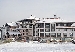 Hotel Lion